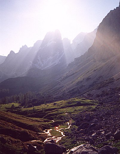 PF 2003